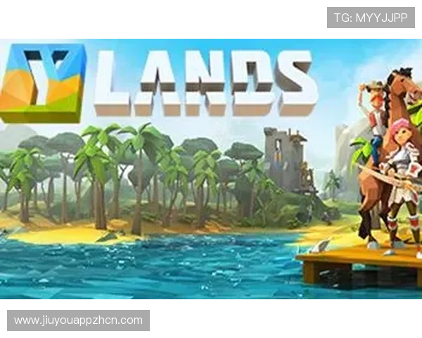 九游娱乐手机版会员登录界面设计与用户体验提升策略