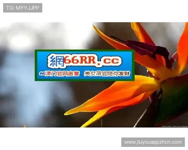 J9九游网址安全登录指南，帮助玩家轻松解决登录难题与账号安全问题